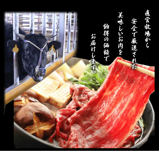 �ߍ]�������ӂ�����ꉮ